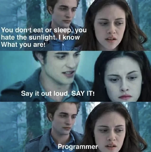 Meme. Scene from Twlight:

Woman: "You don't eat or sleep, you hate the sunlight. I know what you are!"

Man: "Say it out loud SAY IT"

Woman: "Programmer" (line from the movie would have her saying Vampire here).