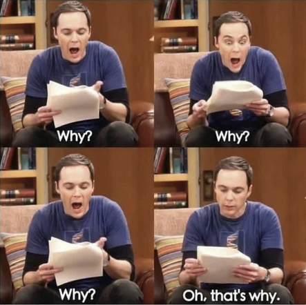 Sheldon from "Big Bang Theory" yelling at a paper "Why?" and "Why?" and "Why?" then looking thoughtfully at it calmer saying "Oh that's why!"