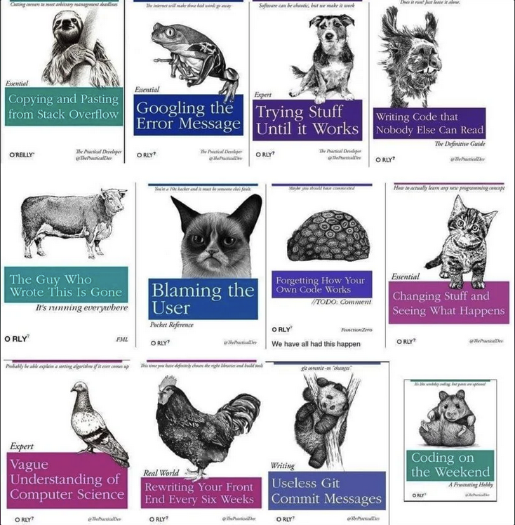 Parody O'Reily books with titles that include "Googling The Error Message". "Trying Stuff Until It Works", "Blaming The User", "Rewriting Your Front End Every Six Weeks".