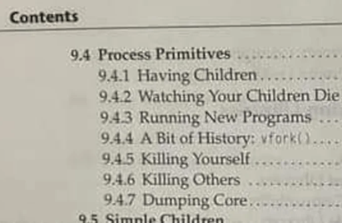 Zoom in on a table of contents in a programming book with sub chapters called "Having Children" "Watching Your Children Die" "Killing Yourself" "Killing Others" and "Dumping Core"