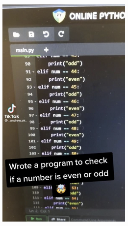 screenshot of a Tiktok video with code in the background and the text: "Wrote a program to check if a number if even or odd" in the foreground.