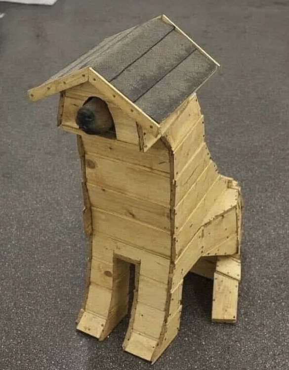 A small sitting dog with what appears to have a small wooden house with roof built around it. Only part of the dog you see is the nose sticking out.